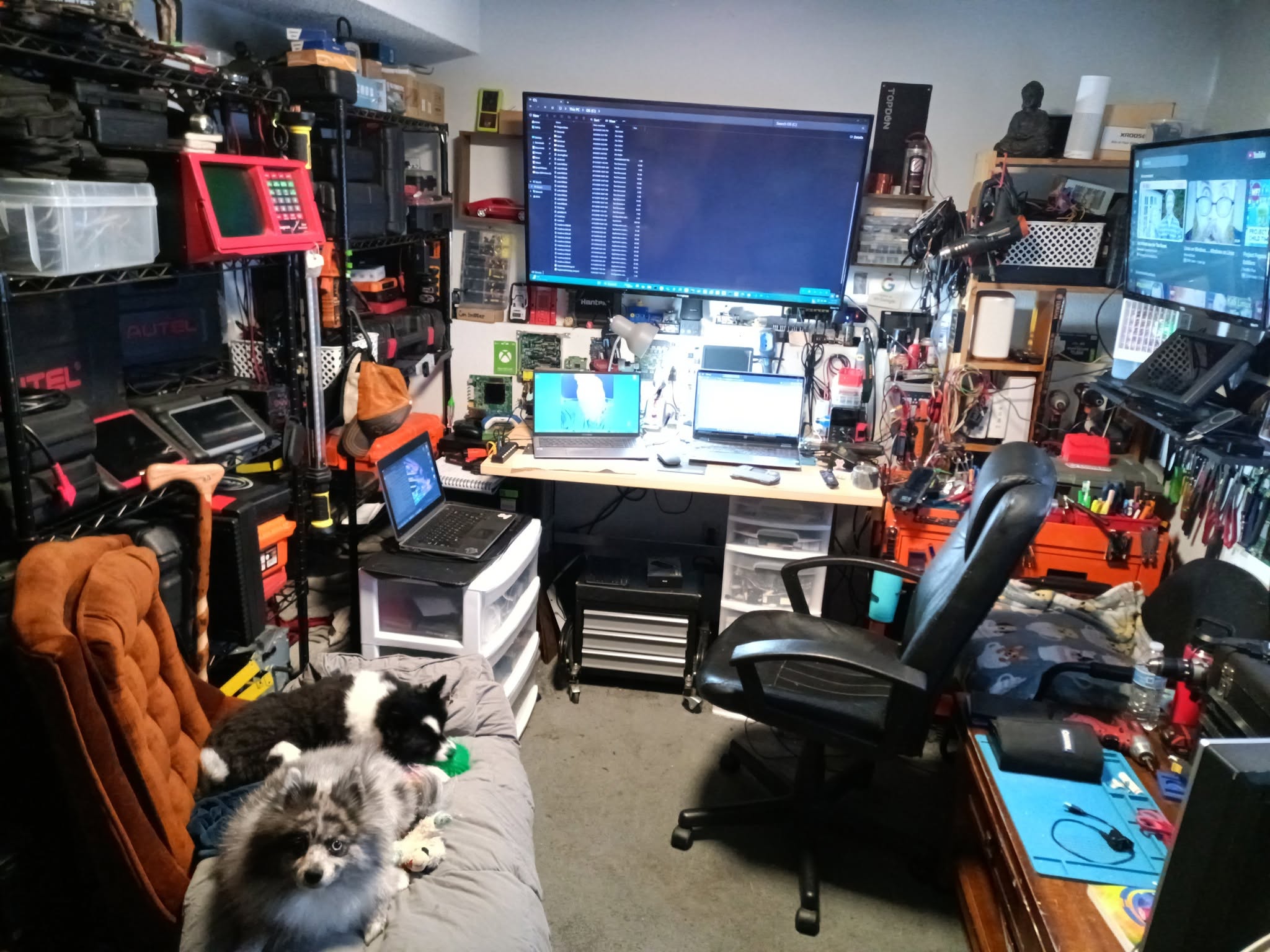 The founder's real workshop — bench, tools, monitors, animals, and 20 years of gear